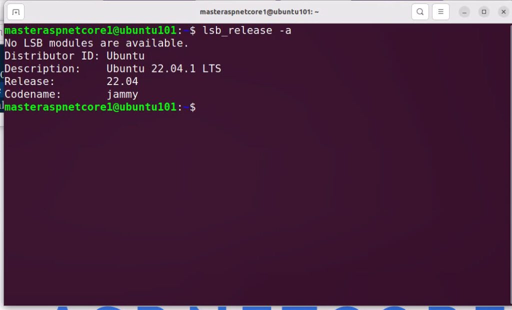 check version of ubuntu
